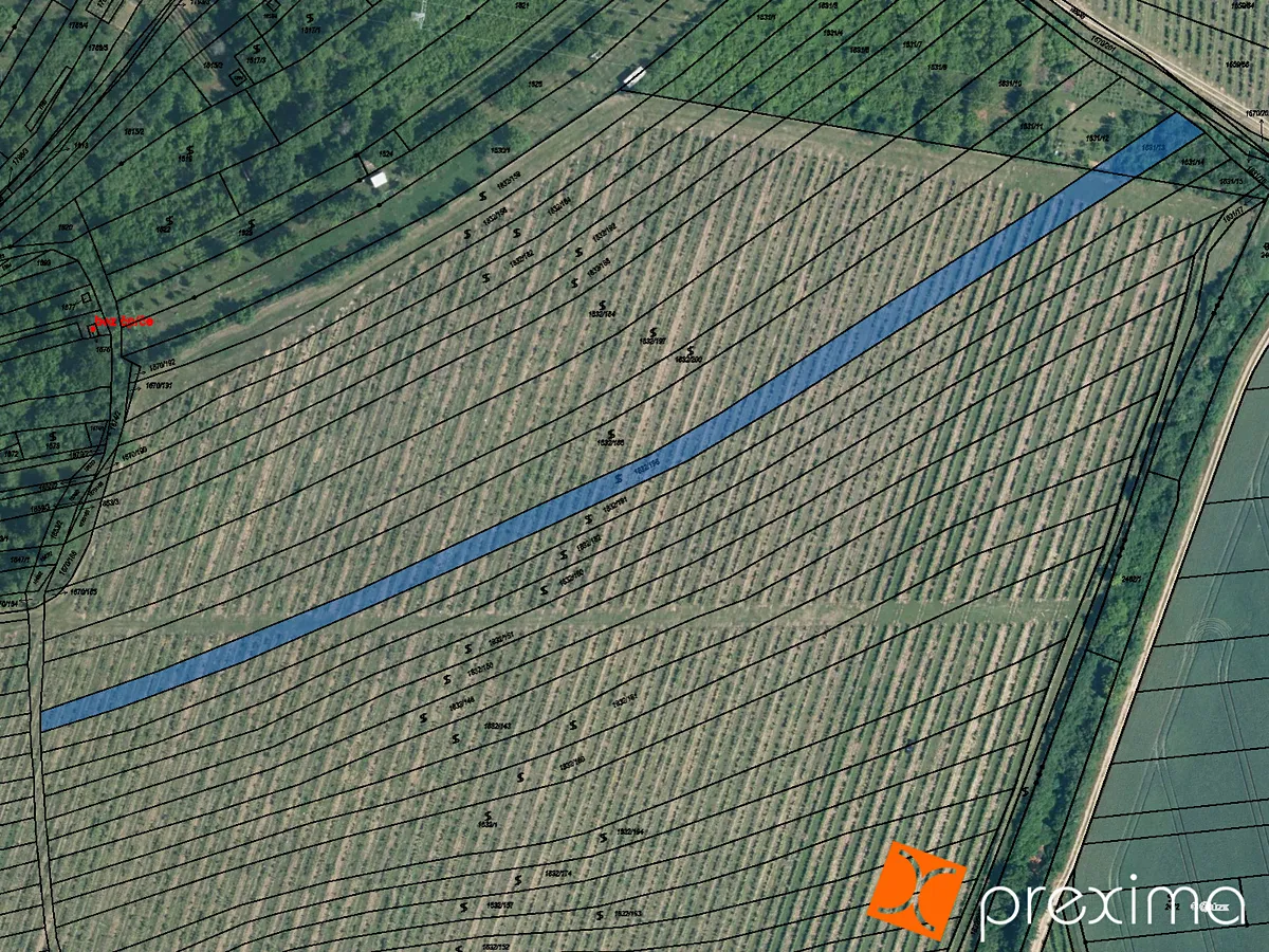 Prodej sadu, vinice 2885 m²